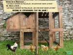 S24.-Humour-Réforme-de-LOrthographe.jpg
