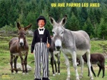 A17.Les-Anes-.jpg