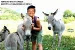 V8.-Politique-Hollande-Les-Siens-Copie-Copie.jpg