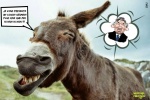 V15.-Politique-Bayrou-LAne-De-Service-.jpg