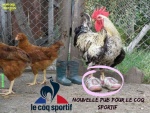T10.-Humour-Le-Coq-Sportif-Pub.jpg