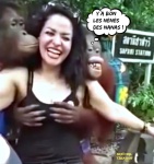 T5.-Humour-Les-Orang-Outans-La-Nanas.jpg