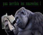 T22.-Humour-Les-Nouvelles-Pas-Terrible-.gif