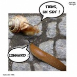 T23.-Humour-SDF.jpg