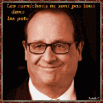 T30.-Portrait-Des-Cornichons.gif