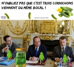 W8.-Politique-Le-Bocal-De-Cornichons-.jpg