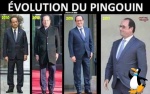 W30.-Politique-Evolution-Du-Pingouin-.jpg