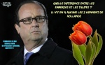X5.-Politique-Hollande-Les-Tulipes.jpg