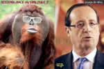 Y7.-Politique-Ressemblance-ou-Similitude-.jpg