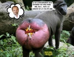 Y15.-Politique-CSG-2018.jpg