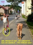 X12.-Humour-Manque-De-Gout-Copie.jpg