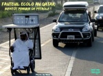 Y7.-Humour-LEmir-Ecolo-au-Qatar.jpg