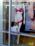 Y28.-Humour-Le-Petit-Voyeur.jpg