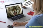 Z17.-Humour-La-Blonde-Le-Chat-La-Souri-.jpg
