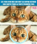 Z23.-Humour-Yeux-DUn-Mec.jpg