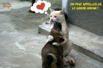 AA4.-Humour-Le-Grand-Amour.jpg