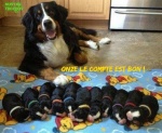 AA5.-Humour-Onze-Le-Compte-Est-Bon-.jpg