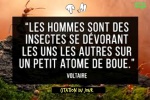 AD5.-Politique-Citation-Voltaire-.jpg
