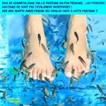 AD19.-Humour-Apres-Une-Fish-Pedicure-Elle-Perd-Ses-Ongles-de-Pied.jpg