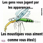 AE27.-Humour-Apparence.jpg