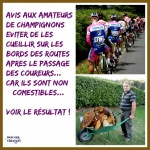 AF7.-Humour-Cueillette-De-Champignons-Attention-.jpg