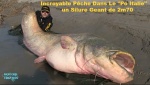 AG10.-Humour-Pêche-Silure-Geant.jpg