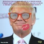 AD19.-Portrait-Donald-Trump-Bronzé.jpg