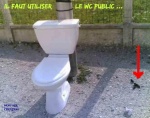 AH12.-Humour-WC-Public.jpg
