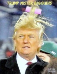 AH16.-Humour-Trump-Mister-Bigoudis.jpg