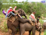 AH21.-Humour-Safari-Télescopage.jpg