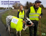 AH21.-Politique-Solidarité-Bovine-1.jpg