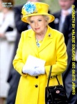 AH28.-Politique-Tendance-Au-Jaune-.jpg
