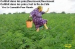 AI14.-Humour-ColShit-Dans-Les-Prés.jpg