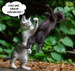 AI19.-Humour-Pugilat-ChatChat.jpg