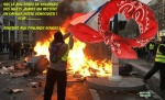 AI7.-Politique-Bravo-Aux-Foulards-Rouge-.jpg