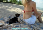 AI24.-Humour-Le-Toutou.jpg