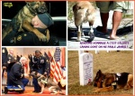 AI12.-Politique-Soldats-Canins-.jpg