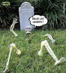 AJ2.-Humour-Halloweenn-Squelette.jpg