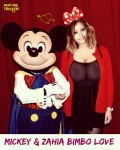AK6.-Humour-Mickey-Loves-Bimbo-Zahia-Fakes-.jpg