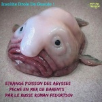 AK26.-Humour-Insolite-Quoi-Ma-Gueule-.jpg