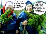 AL5.-Humour-Le-Basilic.jpg