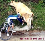 AL25.-Humour-Le-Bon-Lolo-.jpg