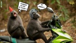 AL26.-Humour-Le-Casque-.jpg