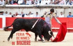 AK22.-Politique-Feria-ou-Boucherie.jpg