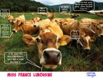 B13.-Humour-Miss-France-Limousine-.jpg
