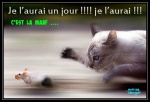 B14.-Humour-Maaf-Je-LAurais-un-Jour-Je-LAurais-.jpg