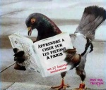 C11.-Humour-1-Les-Pigeons-du-Maire-Paris.jpg