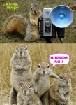 C8.-Humour-Photo-de-Famille.jpg