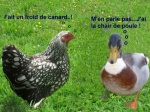 C19.-Humour-Cancan-de-Cocotte.jpg