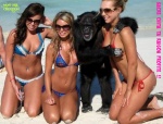 D11.-Humour-Cool-Chita.jpg